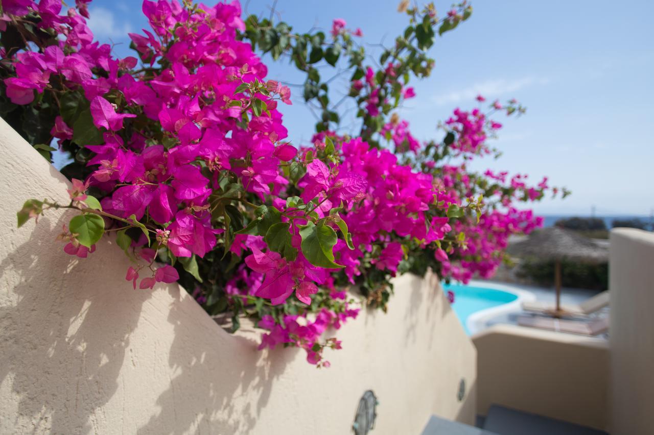 Theros Houses Santorini Kamári Extérieur photo